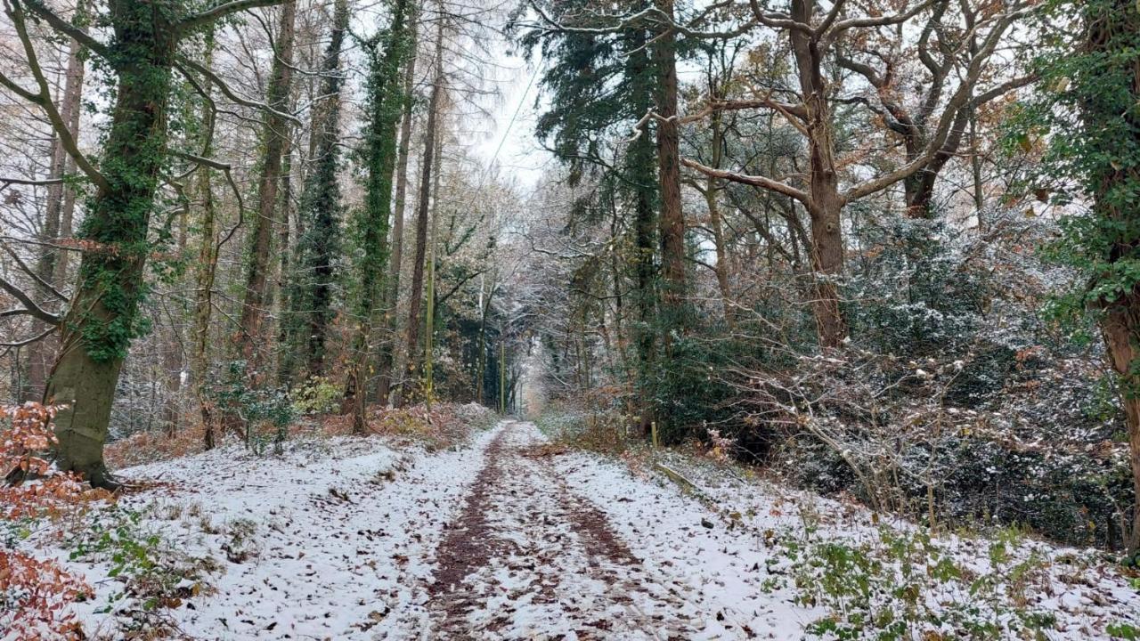 Whitecroft The Beehive - Self Catering In The Heart Of The Forest Of Dean מראה חיצוני תמונה